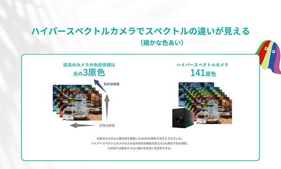 141原色で見える世界