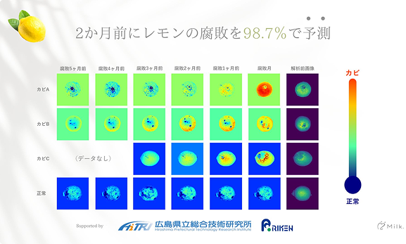 フード